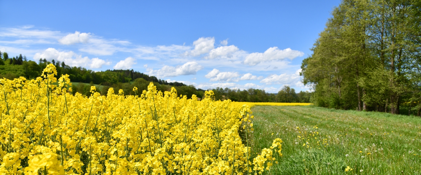 Blumenversand Nahe