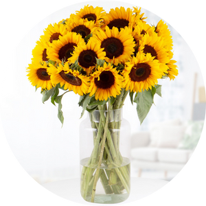 Sonnenblumen kaufen und Freude verschenken